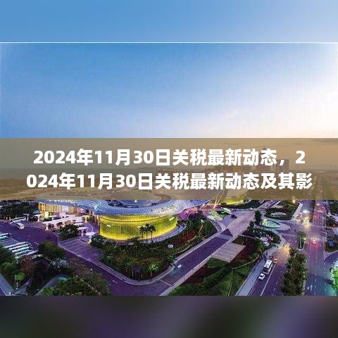 深度解析，2024年11月30日關(guān)稅最新動(dòng)態(tài)及其全球影響