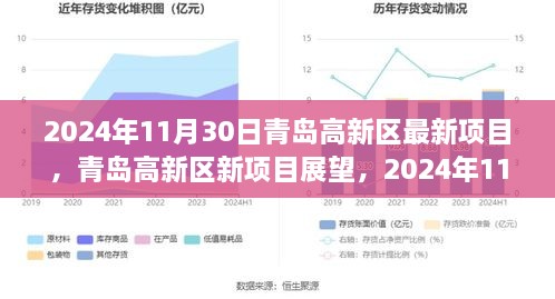 青島高新區(qū)新項(xiàng)目展望，機(jī)遇與挑戰(zhàn)并存，聚焦未來(lái)創(chuàng)新機(jī)遇（2024年11月30日）