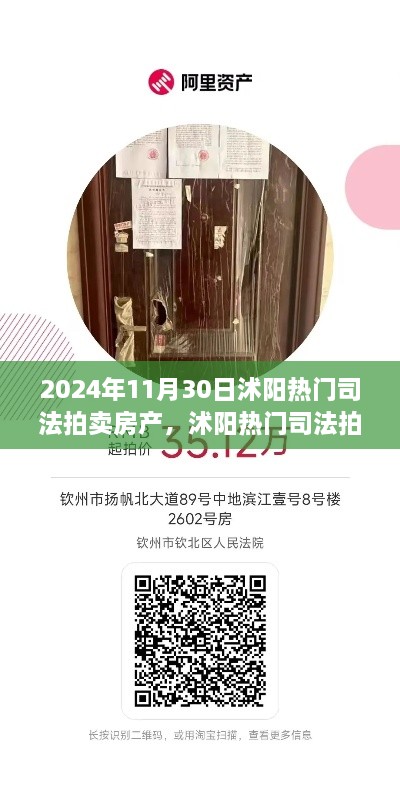 2024年11月30日沭陽熱門司法拍賣房產(chǎn)搶拍指南，最新房源大揭秘