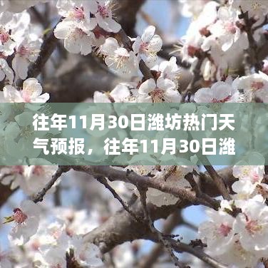 濰坊往年11月30日天氣預(yù)報回顧與旅行建議，氣象分析與建議