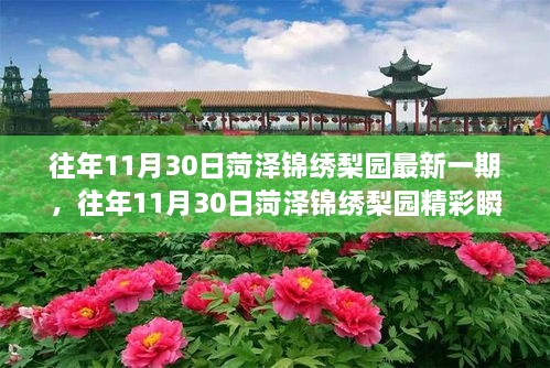 菏澤錦繡梨園，傳統(tǒng)戲曲魅力之旅的精彩瞬間探索