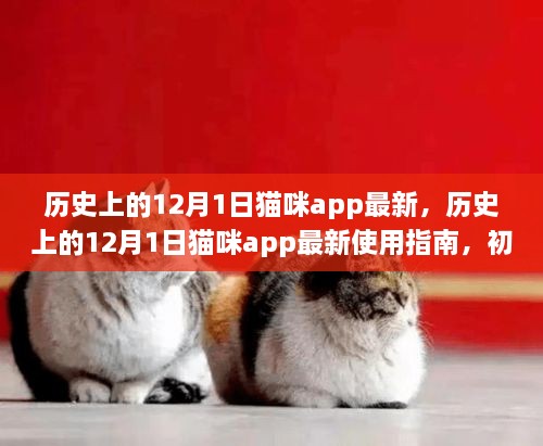 歷史上的12月1日貓咪app最新，歷史上的12月1日貓咪app最新使用指南，初學(xué)者與進階用戶的全面教程