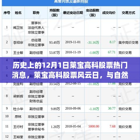 歷史上的12月1日萊寶高科股票熱門消息，萊寶高科股票風云日，與自然美景的奇妙邂逅，心靈旅行的啟程時刻