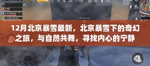 北京暴雪下的奇幻之旅，與自然共舞，探尋內(nèi)心寧?kù)o的旅程