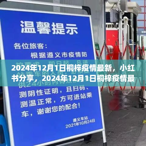 2024年12月1日桐梓疫情最新動(dòng)態(tài)及防疫生活小紅書分享