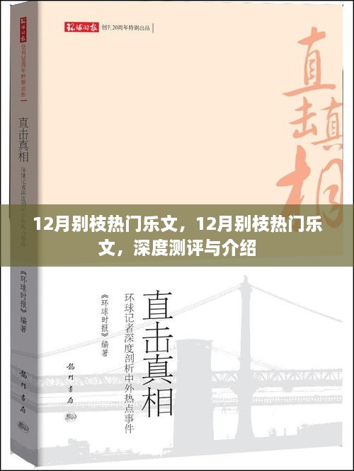 深度測評與介紹，12月別枝熱門樂文