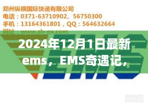 EMS奇遇記，快遞背后的溫暖故事揭秘，2024年12月最新篇章