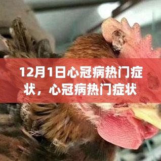 心冠病熱門癥狀深度解析，背景、事件與影響（最新更新）