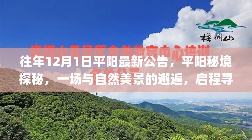 平陽秘境探秘之旅，與自然美景的邂逅，尋找寧靜之地啟程