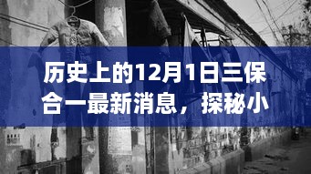 歷史上的12月1日三保合一揭秘，最新消息與小巷深處的獨(dú)特風(fēng)味