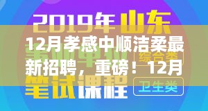 孝感中順潔柔12月最新招聘啟事，職場新星挑戰(zhàn)，崗位空缺等你來填補(bǔ)