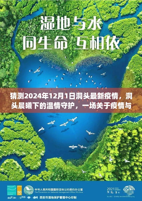 洞頭晨曦下的溫情守護，疫情與友情的日常故事預(yù)測至2024年12月1日