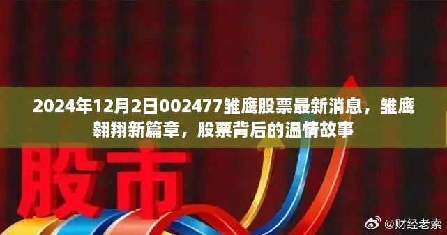 雛鷹翱翔新篇章，揭秘股票背后的溫情故事與最新動(dòng)態(tài)