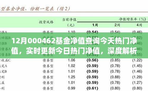 12月000462基金凈值查詢今天熱門凈值，實時更新今日熱門凈值，深度解析12月000462基金凈值查詢