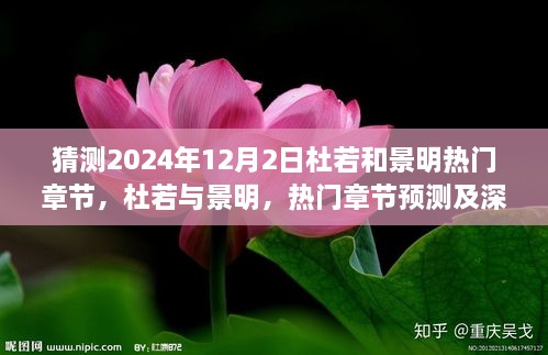 杜若與景明熱門章節(jié)預(yù)測深度分析，2024年12月2日展望