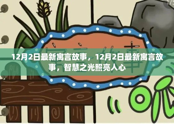 12月2日最新寓言故事，智慧之光照耀人心