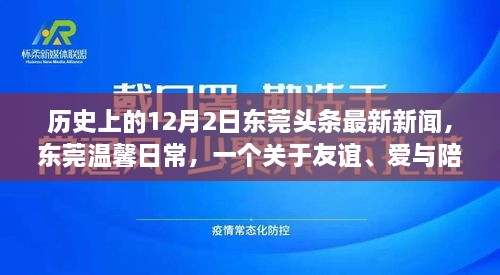 東莞頭條新聞，友誼與愛在冬日綻放——十二月二日的溫馨日常故事