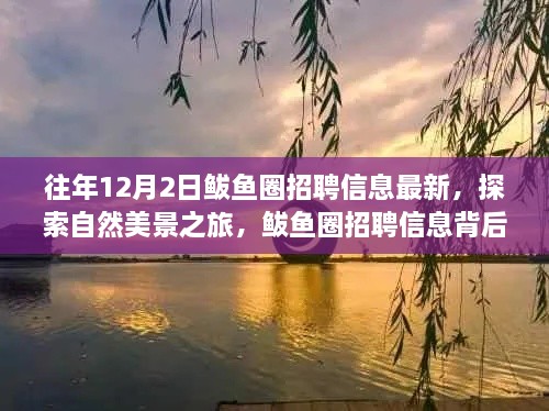 揭秘鲅魚圈招聘信息背后的自然美景之旅，寧靜秘境等你來探索