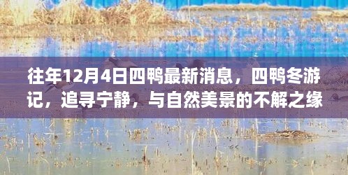 往年12月4日四鴨冬游記，追尋寧?kù)o與美景的不解之緣