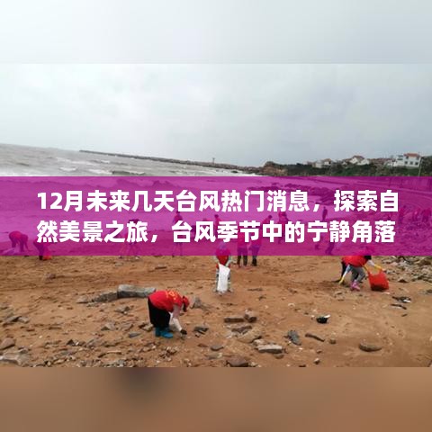 12月臺風熱門消息，自然美景探索之旅——臺風季節(jié)的寧靜與冒險