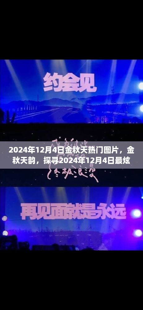 探尋金秋韻味，2024年12月4日熱門(mén)圖片精選