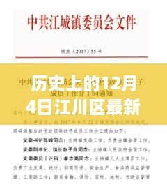 江川區(qū)人事任免深度解析，歷史背景、特性分析、競品對比與用戶群體洞察