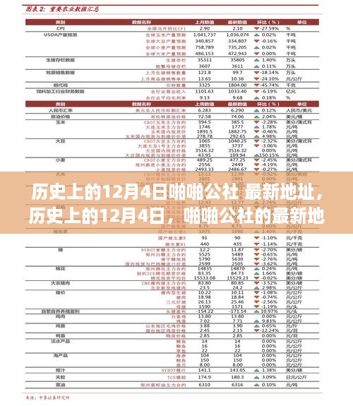 歷史上的12月4日，啪啪公社的最新地址及其背后的故事揭秘（科普文章）