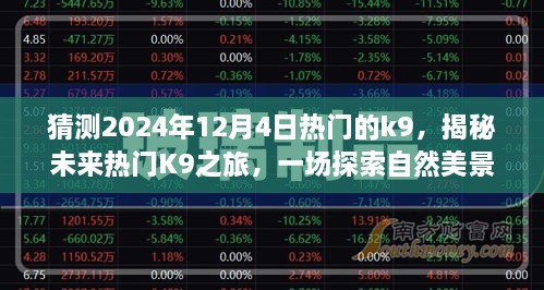 揭秘未來熱門K9之旅，啟程于2024年12月4日的自然美景探索之旅