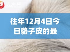 12月4日貉子皮最新價格及歷年趨勢解析，市場動態(tài)一覽