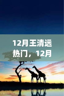 追尋自然之旅，王清遠在十二月的腳步與心靈之旅