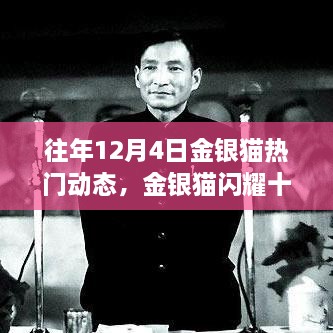 歷年金銀貓閃耀十二月，深度回顧歷年12月4日的熱門動態(tài)