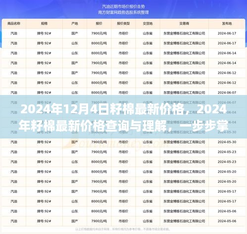 2024年12月4日籽棉最新價格，2024年籽棉最新價格查詢與理解，一步步掌握行情分析技能