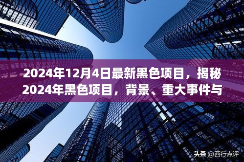 揭秘，2024年黑色項(xiàng)目的背景、重大事件與深遠(yuǎn)影響全解析