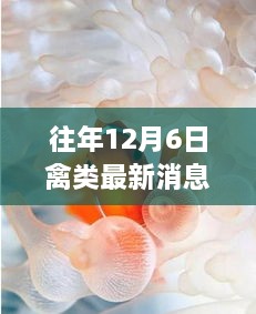 2024年12月6日 第4頁(yè)