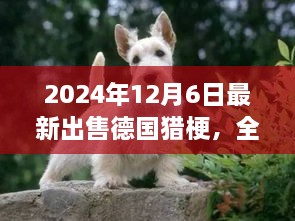 2024年12月 第781頁(yè)