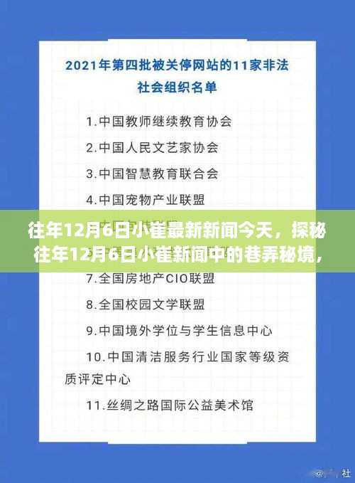 探秘往年12月6日小崔新聞中的巷弄秘境，小巷深處的特色小店揭秘