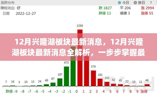 掌握興隆湖板塊最新動(dòng)態(tài)，全面解析十二月最新消息