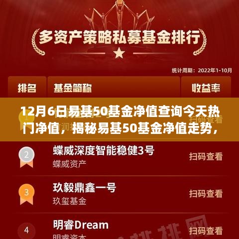 揭秘易基50基金凈值走勢，深度解讀今日熱門凈值背后的故事（最新凈值查詢）