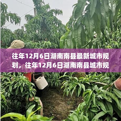 湖南南縣往年城市規(guī)劃揭秘，洞悉最新藍(lán)圖與發(fā)展趨勢(shì)