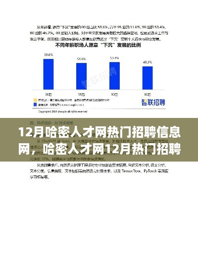 哈密人才網12月熱門招聘信息解讀，市場新動向與求職策略深度探討