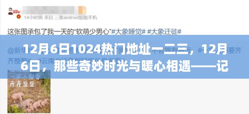 記藏于數字一二三間的溫馨日常，12月6日的奇妙時光與暖心相遇