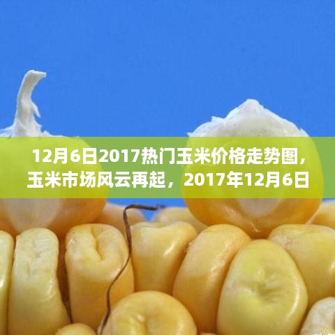 深度解析，玉米市場風云再起，最新玉米價格走勢圖（2017年12月6日）