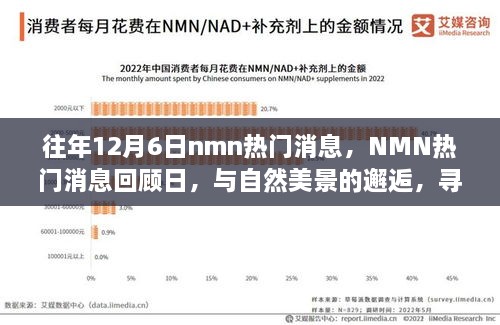 往年NMN熱門消息回顧日，與自然美景的邂逅，心靈寧靜之旅啟程