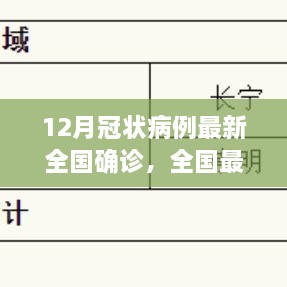 全國最新冠狀病例確診流程詳解，12月冠狀病例確診操作指南