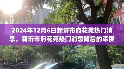 新沂市府花苑熱門(mén)消息深度解讀，多元視角探討