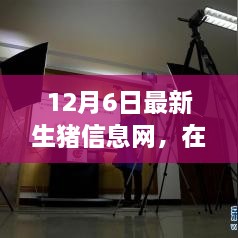 云端豬事，最新生豬信息小記（12月6日）