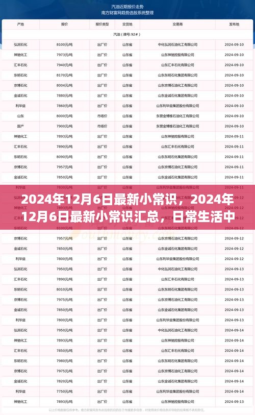 2024年12月6日最新小常識(shí)一覽，日常生活中的新奇知識(shí)匯總