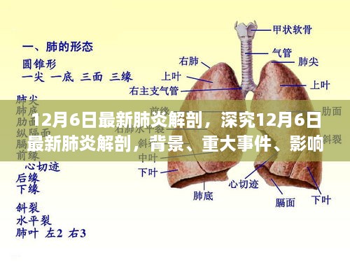 深究最新肺炎解剖，背景、重大事件、影響與時代定位（12月6日最新報告）