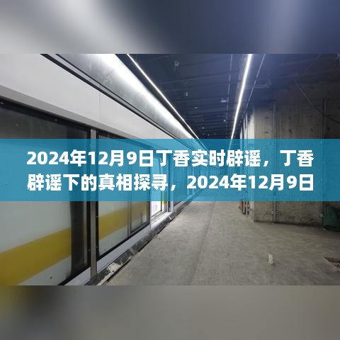 2024年視角下的丁香實(shí)時(shí)辟謠，探尋真相之旅