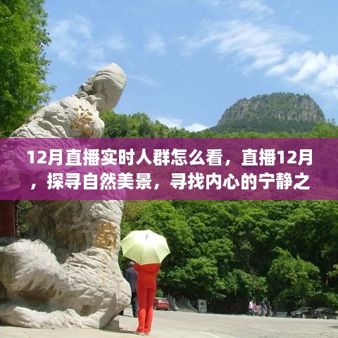 12月直播探尋自然美景，探尋內(nèi)心寧?kù)o之旅的實(shí)時(shí)觀眾洞察